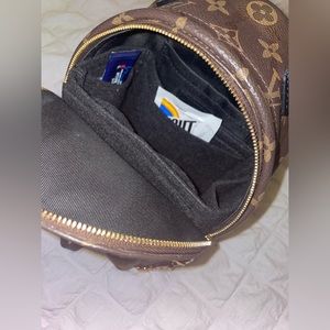 Insert for Louis Vuitton Palm Springs Mini Backpack